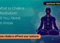 How The 7 Chakra Personality Types Works and Affect Human Bevahiour 7 Chakra and Different Personality Control 34 7 Chakra Personality Types