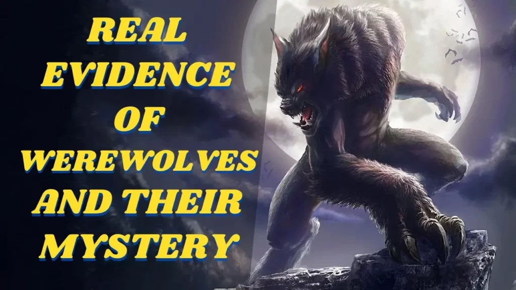5 Strongest Real Evidence of Werewolves and Werewolves’ Mystery and History with Proof 1 Real evidence of werewolves