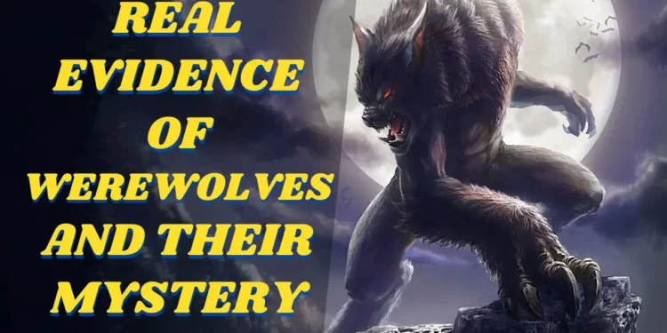 Real evidence of werewolves