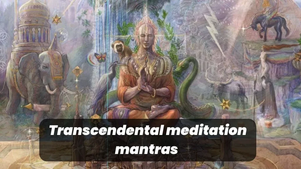 What is Transcendental meditation mantras