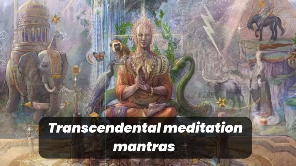 What is Transcendental meditation mantras