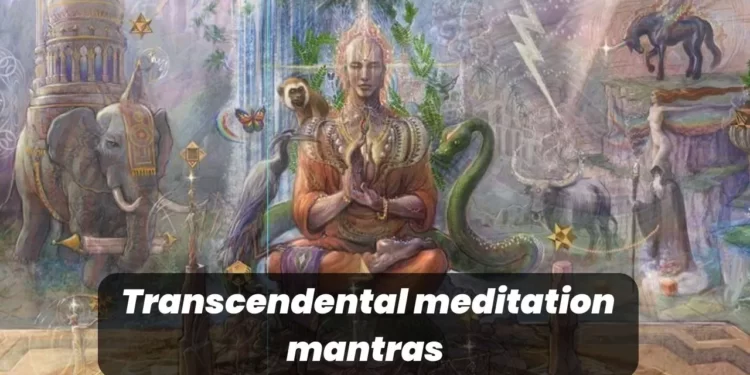 What is Transcendental meditation mantras