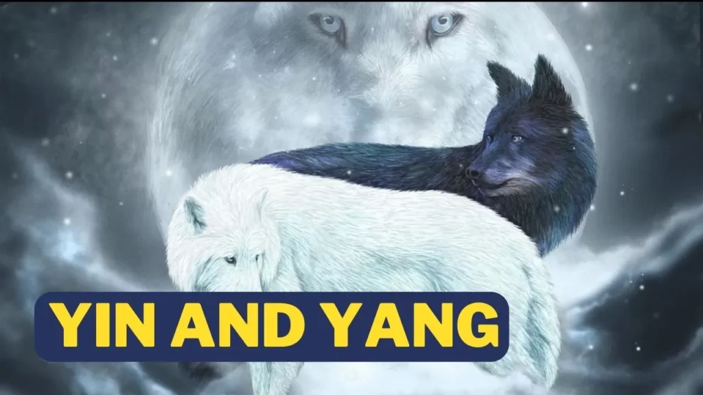 Yin and Yang Story and Yin and Yang in relationship