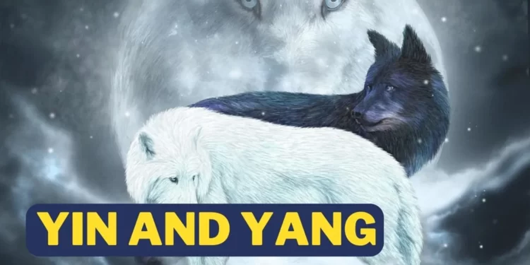 Yin and Yang Story and Yin and Yang in relationship