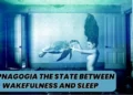 Exploring the Mysterious World of Hypnagogia: Unveiling the Fascinating State of Consciousness 5 Hypnagogia state experience and its type