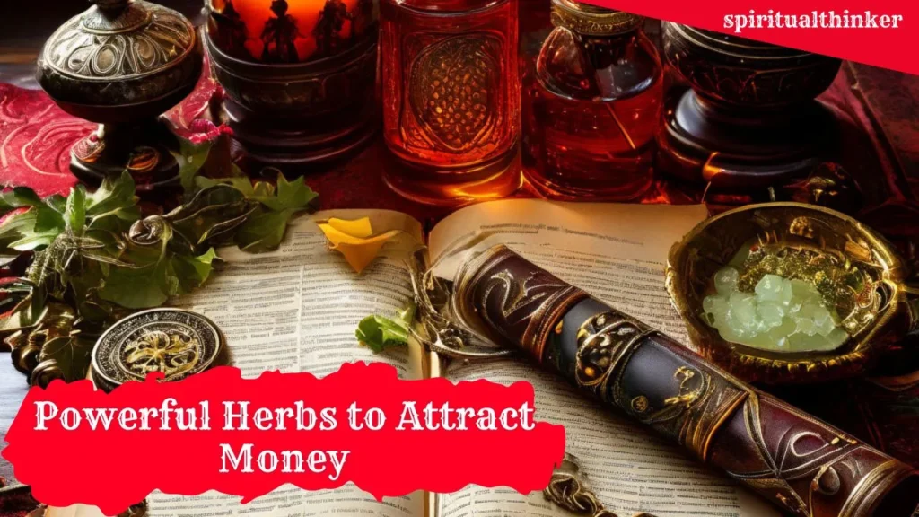 Powerful Herbs to Attract Money