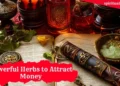 5+ Powerful Herbs to Attract Money and Prosperity from Mother Nature 10 Powerful Herbs to Attract Money